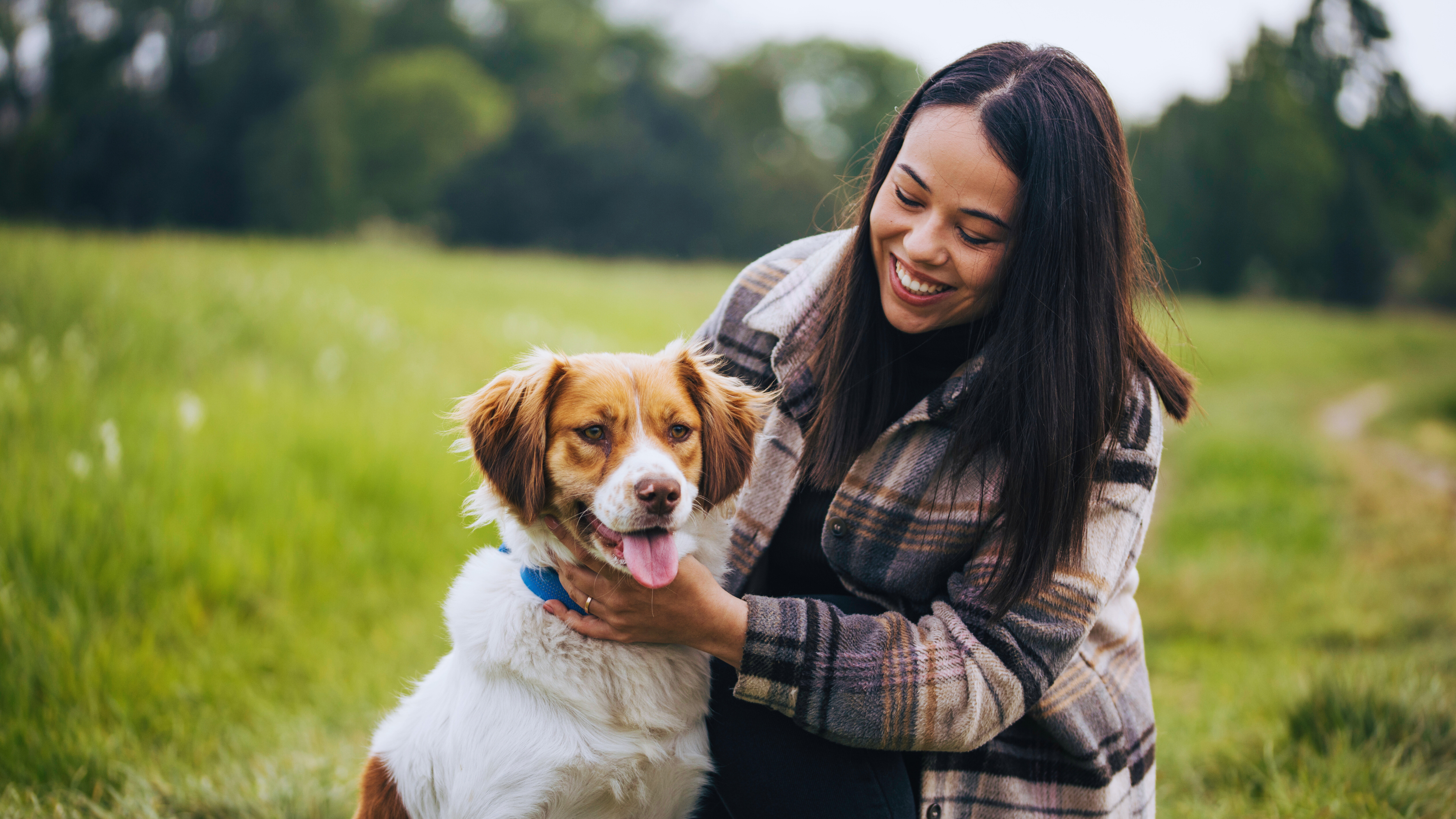 Fur Real Benefits: Why Your Pets Need Grounding Too 🐾