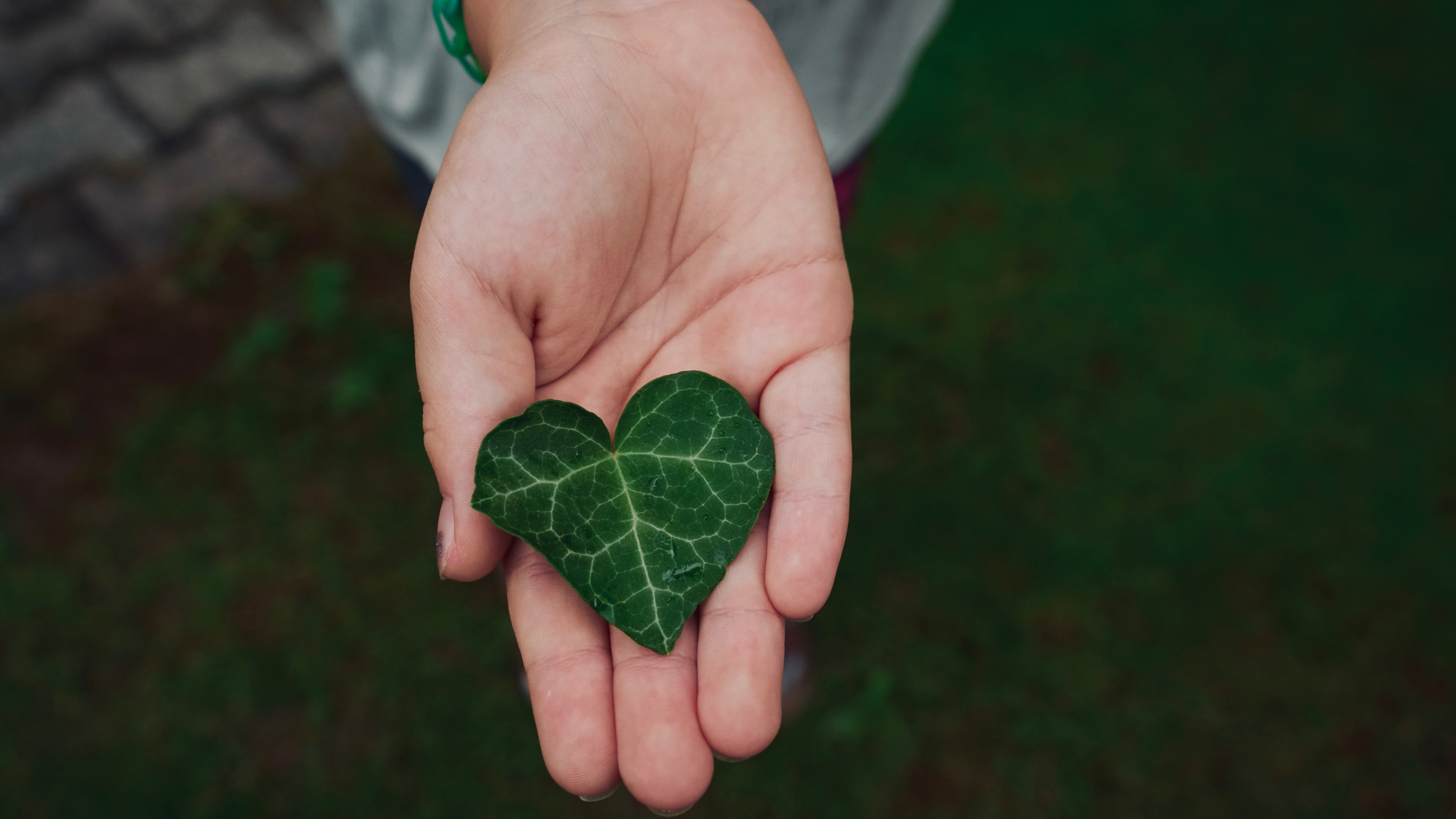 How Modern Life Disconnects Us from the Earth (And How to Reconnect)