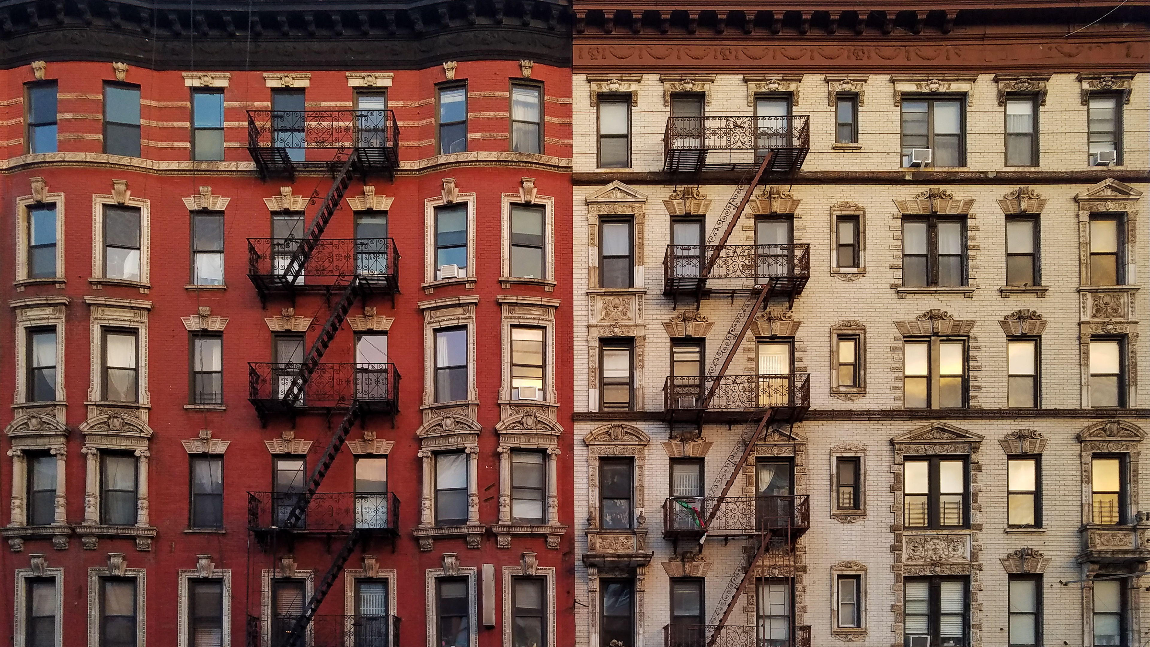 Concrete Jungle Therapy: Grounding Tips for City Dwellers
